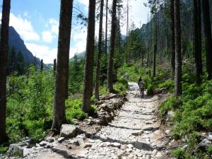 Tatry2019 04