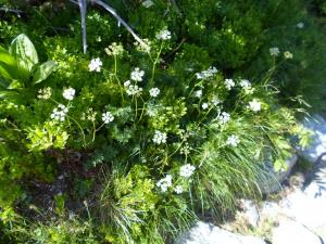 Tatry2019 24