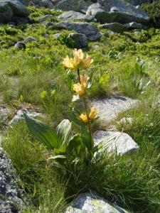 Tatry2019 34