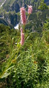 Tatry2019 48