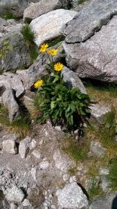 Tatry2019 64